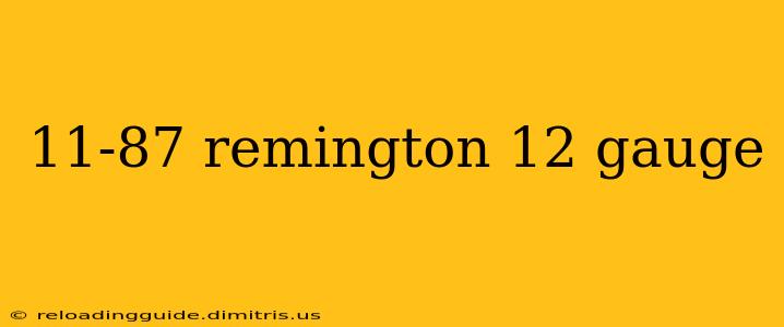 11-87 remington 12 gauge