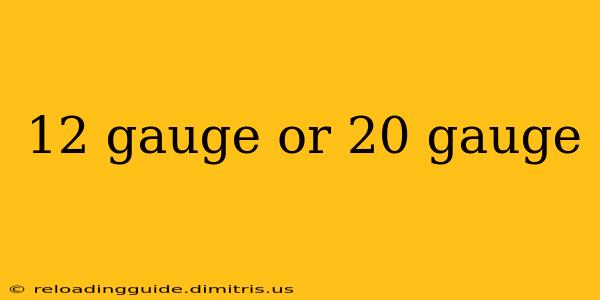 12 gauge or 20 gauge