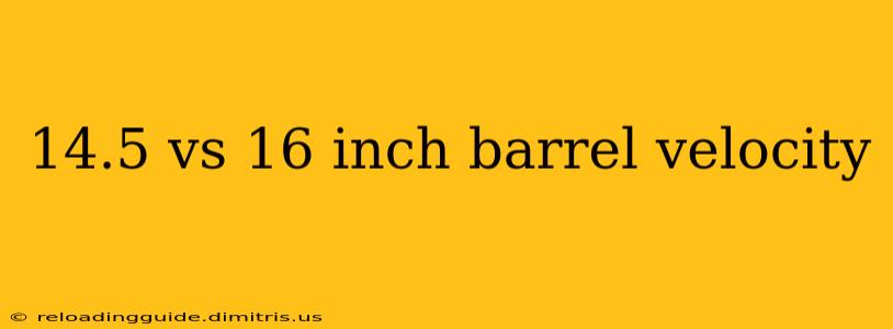 14.5 vs 16 inch barrel velocity