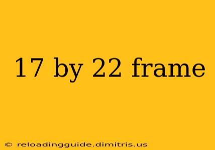 17 by 22 frame