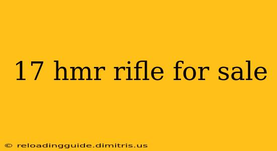 17 hmr rifle for sale