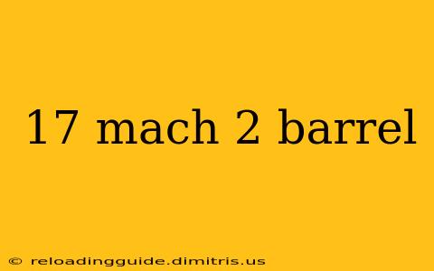 17 mach 2 barrel