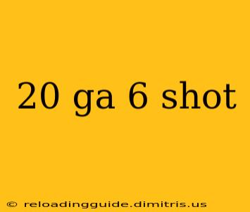 20 ga 6 shot