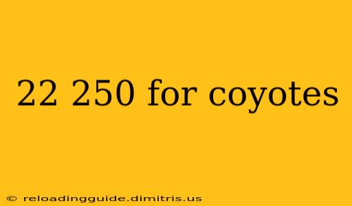 22 250 for coyotes