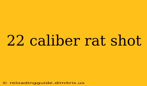 22 caliber rat shot