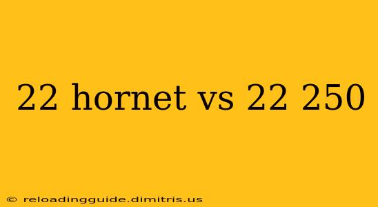 22 hornet vs 22 250