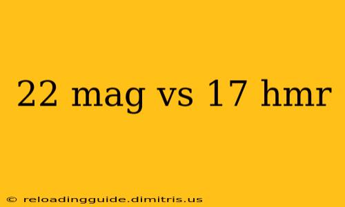 22 mag vs 17 hmr