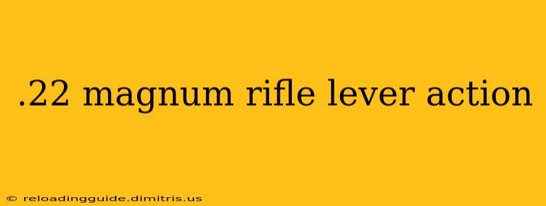 .22 magnum rifle lever action