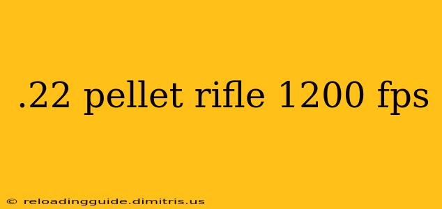 .22 pellet rifle 1200 fps