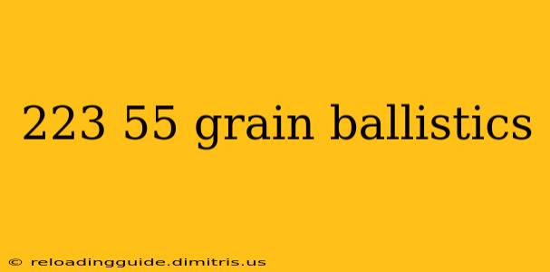 223 55 grain ballistics