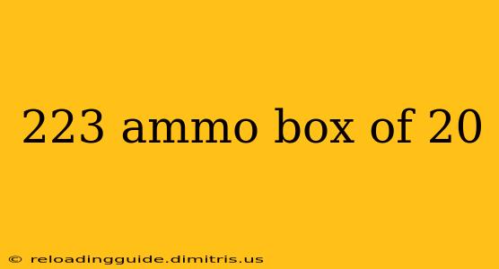 223 ammo box of 20