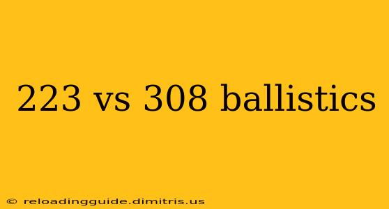 223 vs 308 ballistics