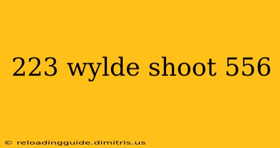 223 wylde shoot 556