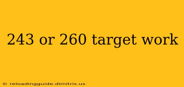 243 or 260 target work