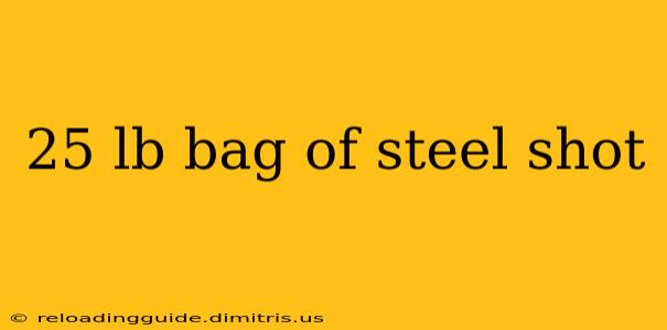 25 lb bag of steel shot