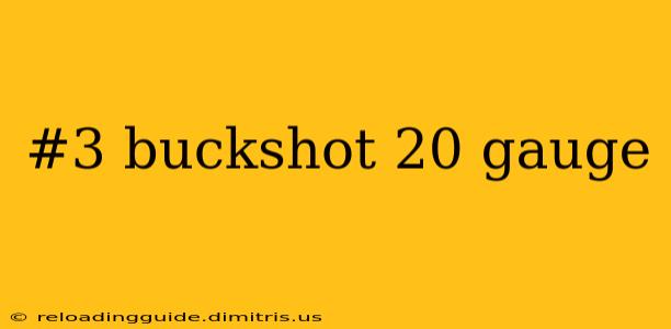 #3 buckshot 20 gauge