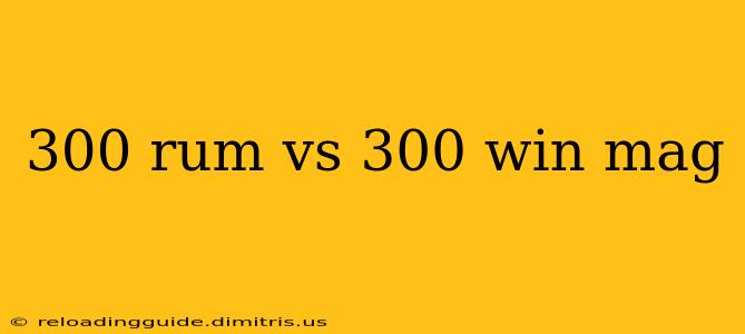 300 rum vs 300 win mag