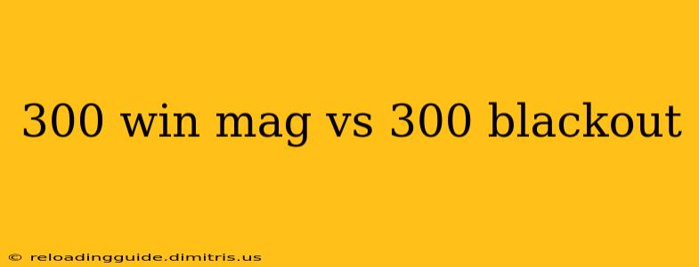 300 win mag vs 300 blackout