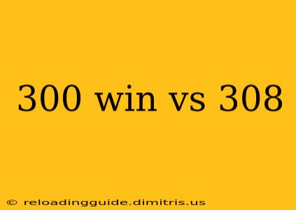 300 win vs 308