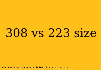 308 vs 223 size