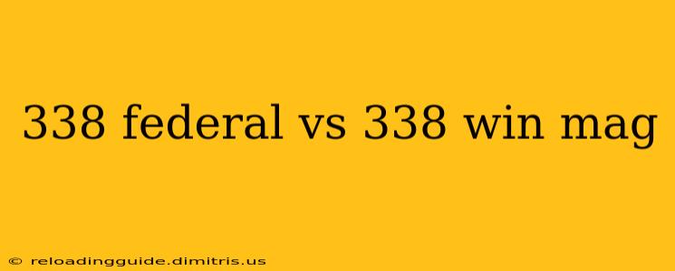 338 federal vs 338 win mag