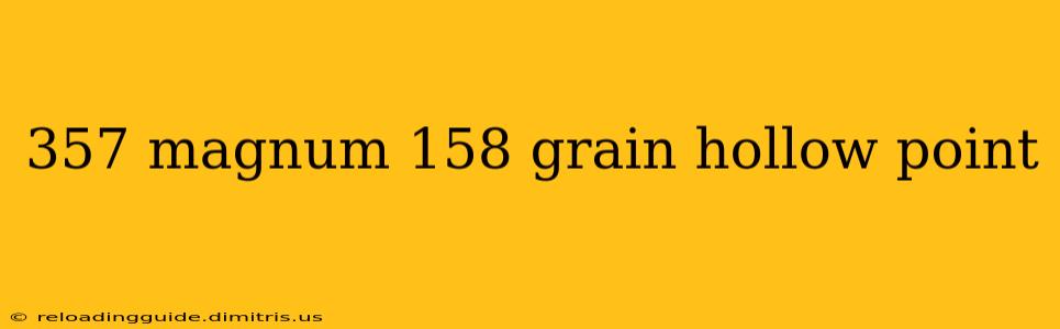 357 magnum 158 grain hollow point