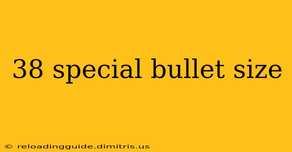 38 special bullet size