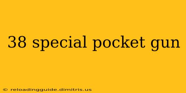 38 special pocket gun