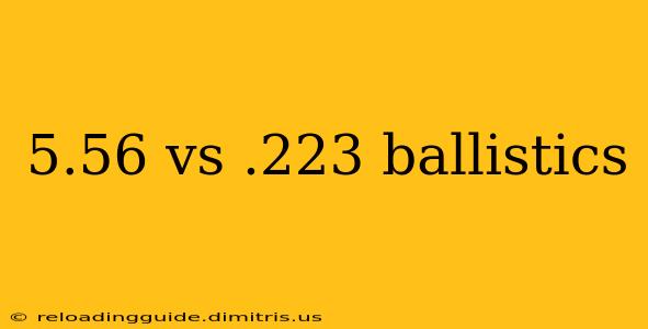 5.56 vs .223 ballistics