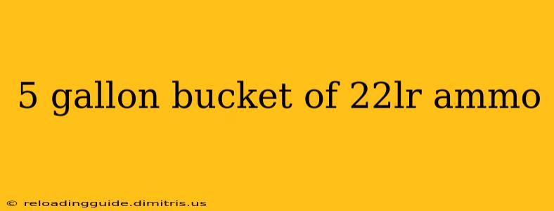 5 gallon bucket of 22lr ammo