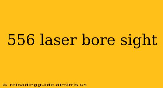 556 laser bore sight