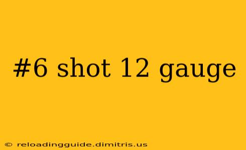 #6 shot 12 gauge