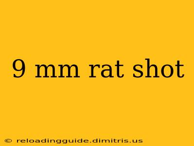 9 mm rat shot