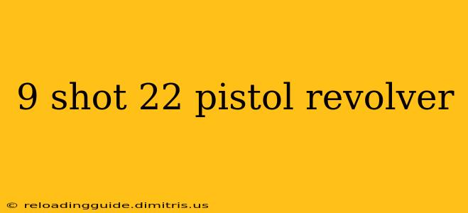 9 shot 22 pistol revolver