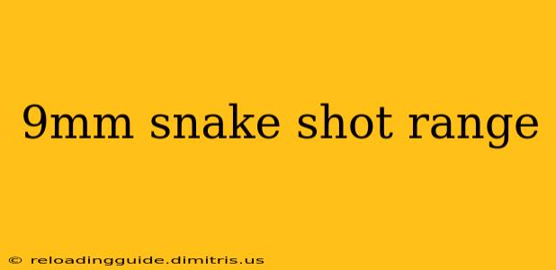 9mm snake shot range