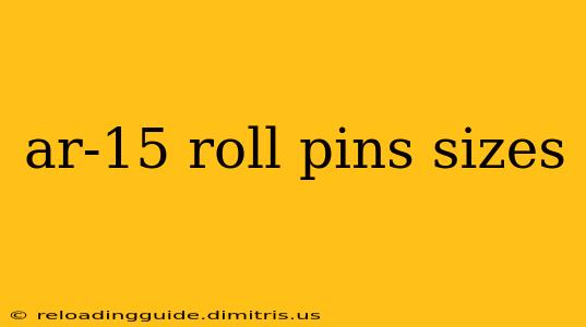 ar-15 roll pins sizes