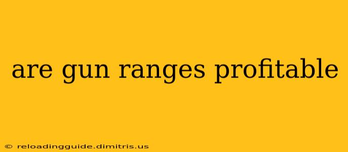 are gun ranges profitable