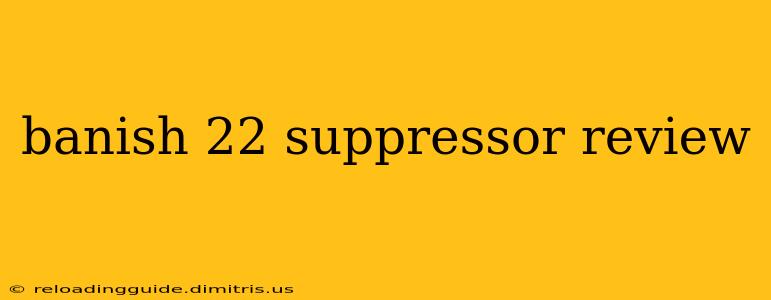 banish 22 suppressor review