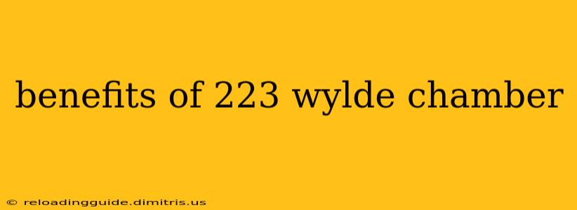 benefits of 223 wylde chamber