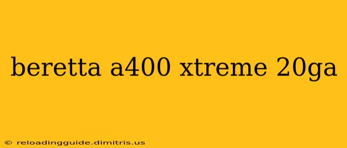 beretta a400 xtreme 20ga