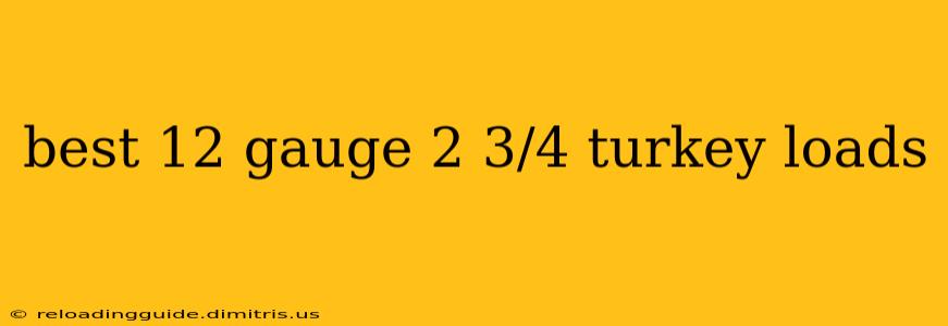 best 12 gauge 2 3/4 turkey loads