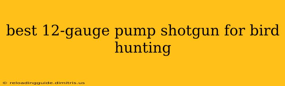 best 12-gauge pump shotgun for bird hunting