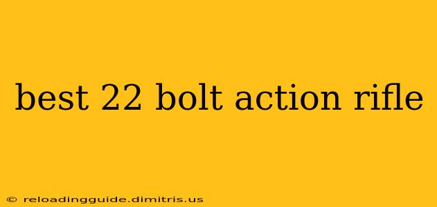 best 22 bolt action rifle