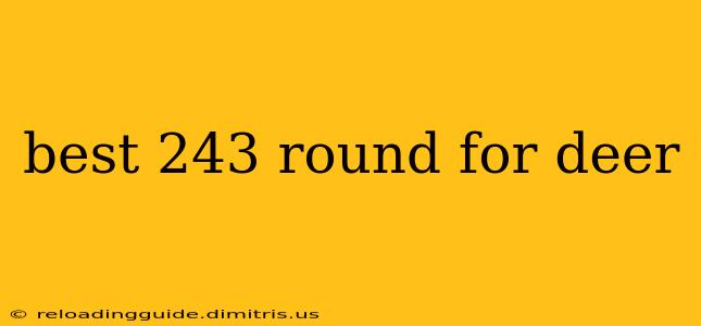 best 243 round for deer