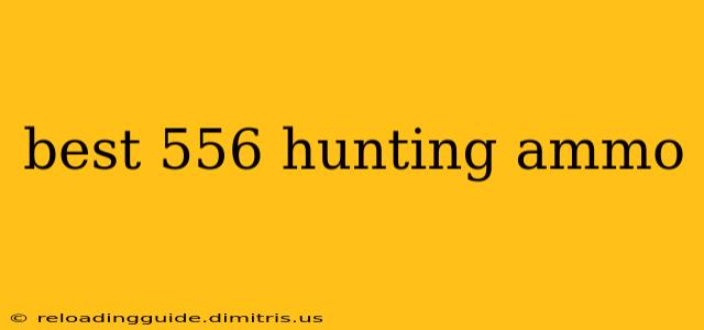 best 556 hunting ammo