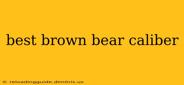 best brown bear caliber