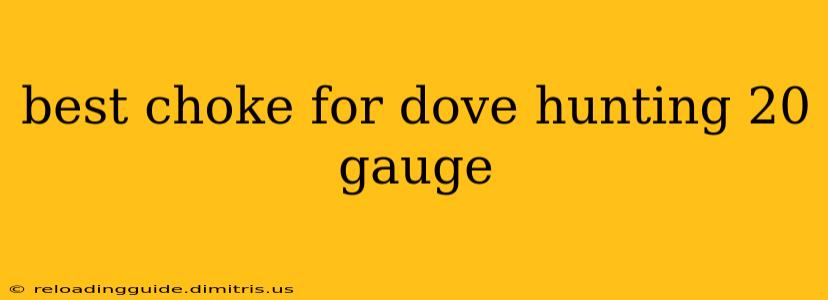 best choke for dove hunting 20 gauge