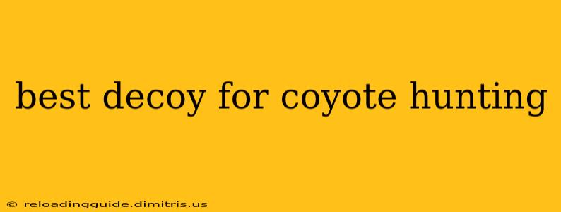 best decoy for coyote hunting