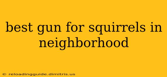 best gun for squirrels in neighborhood