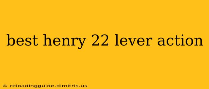 best henry 22 lever action